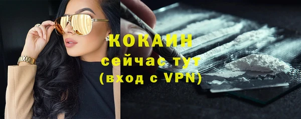 трава Волоколамск