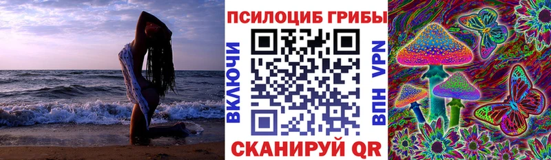 где найти   Карталы  Галлюциногенные грибы Cubensis 